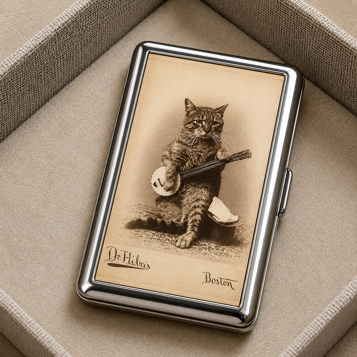 The Banjo Cat